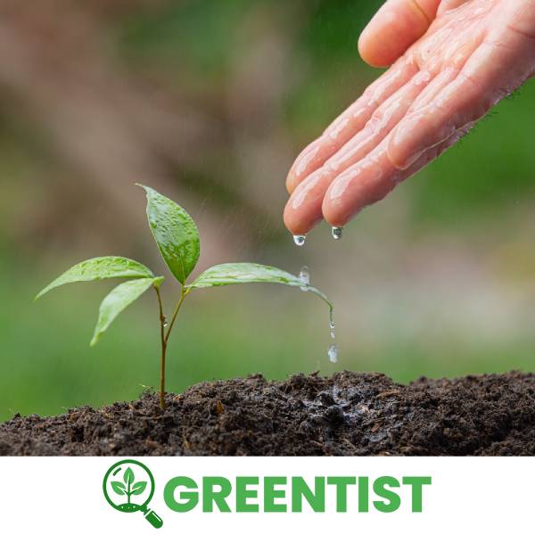 greentist